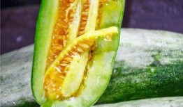 网红吃瓜的视频免费看,免费观看，揭秘娱乐圈幕后故事